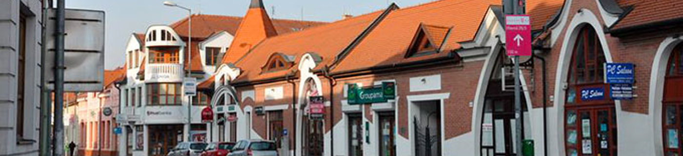 Ubytov�n� Dunajsk� Streda